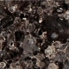 Коллекция Classico (заказ) - 6250 Wild Rocks